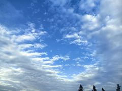 -贡湖湾湿地公园