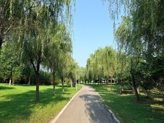 -金银湖国家城市湿地公园