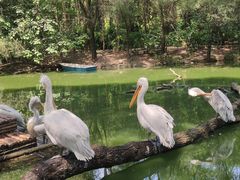 -济南野生动物世界