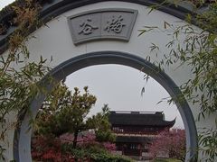 -上海海湾国家森林公园