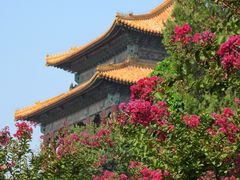 -北京市劳动人民文化宫