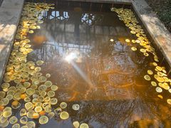 -郑州银基黄帝宫御温泉