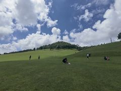-关山草原