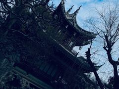 -豫园