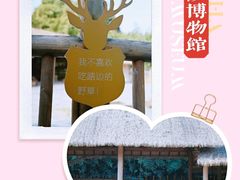 -金沙遗址博物馆
