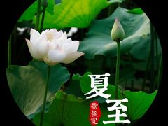 -荆川公园