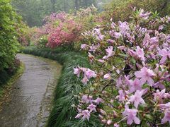 -杭州植物园