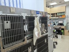 -宠福鑫康馨动物医院·骨科·眼科