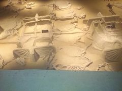 -洛阳周王城天子驾六博物馆