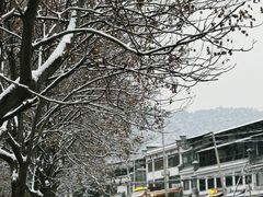 -都江堰石锅鱼