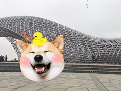 -南汇嘴观海公园