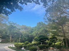 -深圳隐秀山居酒店