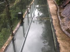 -九龙江国家森林公园