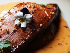 -Hi City·城市之巅