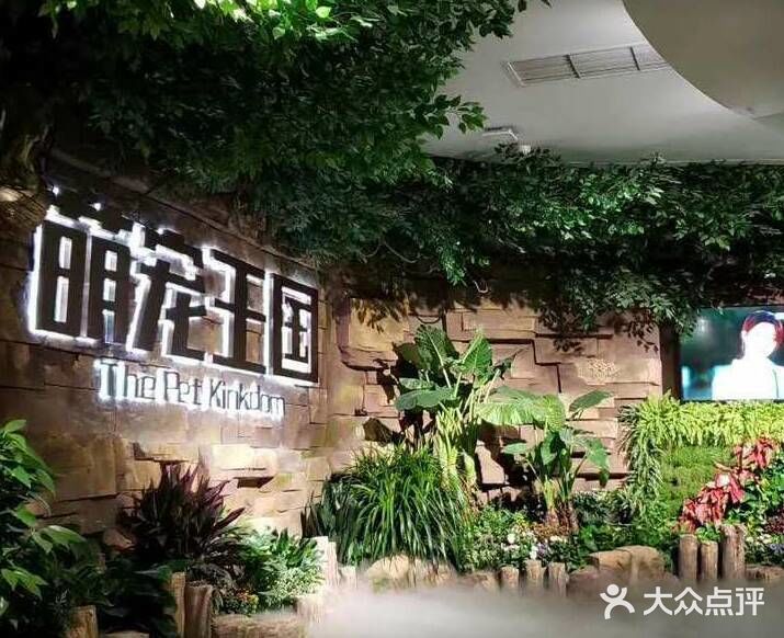 萌宠王国[胜利]