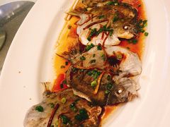 -金汇酒楼(中山东区店)