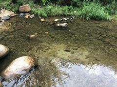 -碓臼峪自然风景区