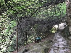 景点-雁荡山三折瀑景区