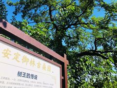 -御林古桑园