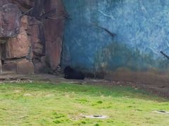 -无锡动物园·太湖欢乐园