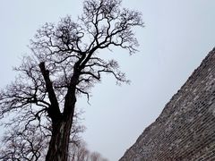 -北京明城墙遗址公园