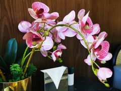 -楚禾宴·家宴(光谷大道店)