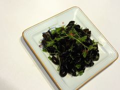 芹皇爽拌木耳-赵记老铺(市府恒隆广场店)