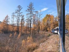 -莫尔道嘎国家森林公园