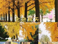 -大连人民广场