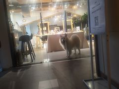 -肆兮眼镜·蔡司·徕卡战略合作店(大坪店)