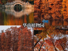 -番禺大夫山森林公园