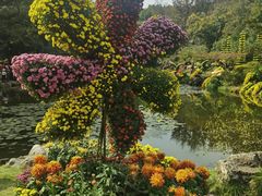-杭州植物园