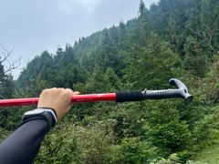 -武陵山森林公园