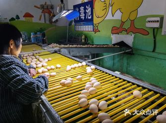 参加了YO妈组织的蛋鸡公园亲子活动，不仅娃喜欢