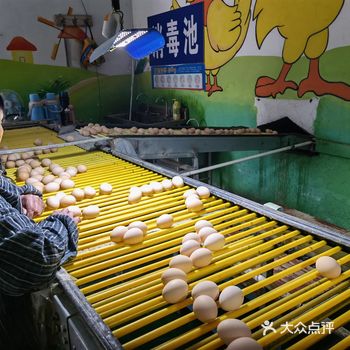 参加了YO妈组织的蛋鸡公园亲子活动，不仅娃喜欢