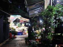 -循礼门鲜花花市(武汉循礼门店)