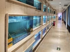 -顺峰(农展馆店)