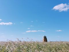 -东方华地城湿地温泉度假区
