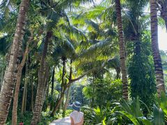 -三亚湾海居铂尔曼度假酒店