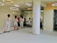 -勇气斑马·巴西柔术&跆拳道(浦东三林店)