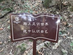 -终南山南五台景区