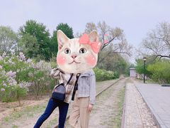 -永定河休闲森林公园