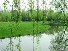 -西湖天地