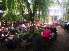 -Fern Forest Cafe