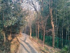 -上海佘山国家森林公园西佘山园