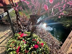 -上海虹桥宾馆(郁锦香品牌酒店)