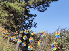-照金香山旅游景区