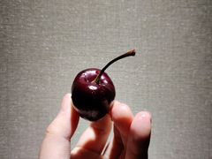 -菜园坝水果市场