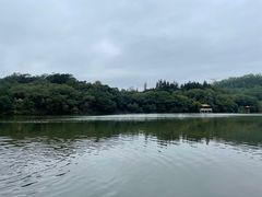 -深圳仙湖植物园