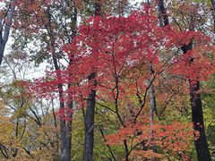 -丹东天桥沟景区